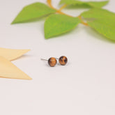 Silver Brown Stud Tiger Eye Earrings